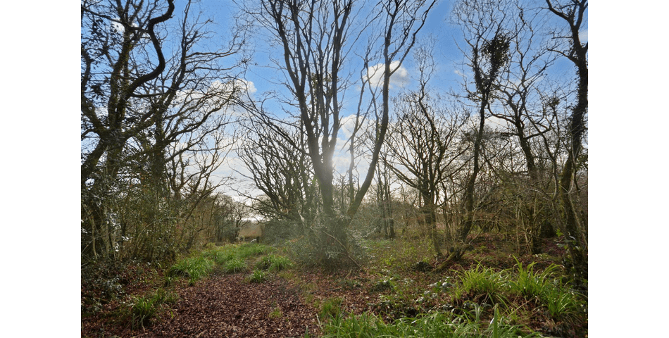 Property Image 35
