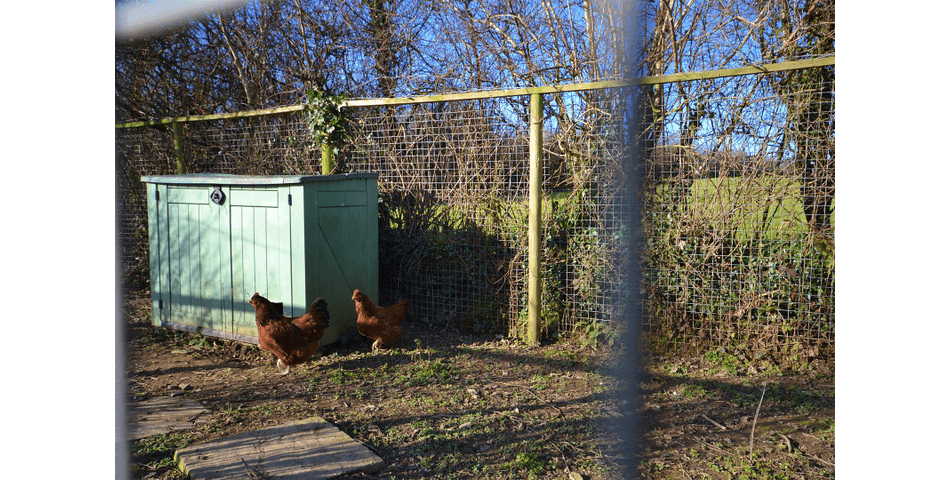 Property Image 31